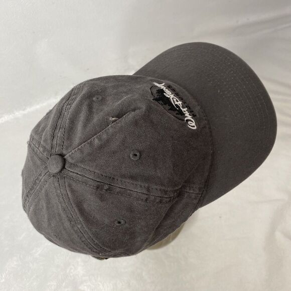 Walt Disney Pictures Gray Cap - Picture 5 of 7